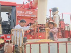 起山东农业万亿元产值背后的价值跃升链条